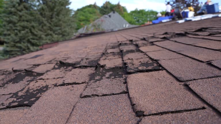 Best Roof Moss and Algae Removal  in Glenmoor, OH